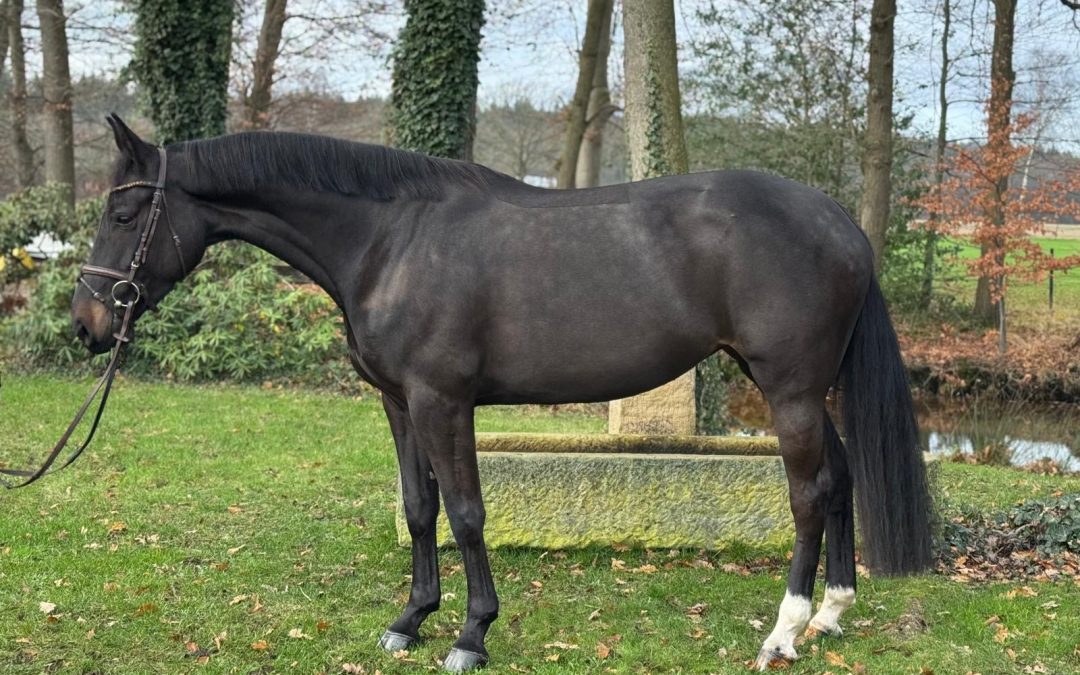 *2020: For Fashion x Diamant de Semilly SF