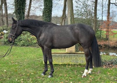 *2020: For Fashion x Diamant de Semilly SF