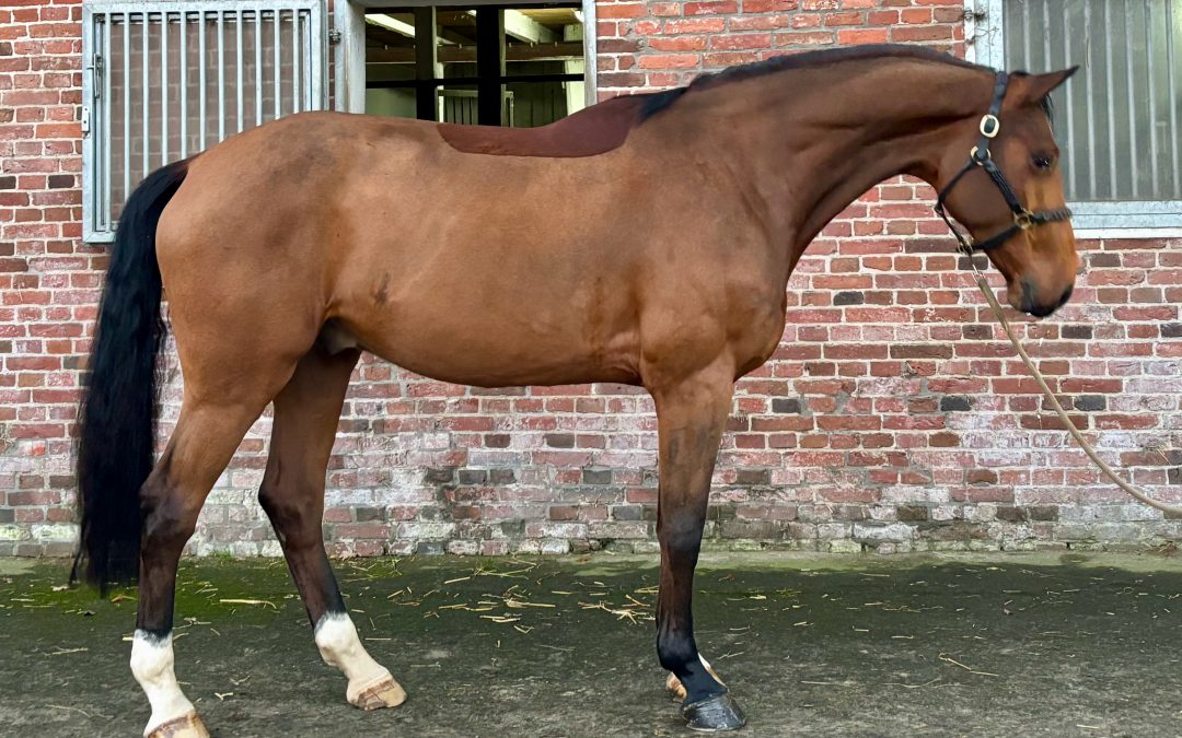 *2021: Amber x Uriko