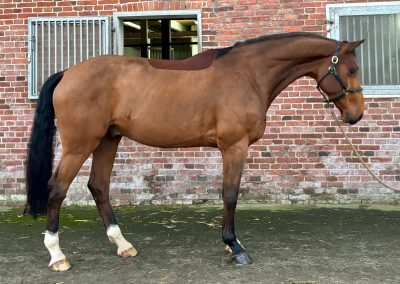 *2021: Amber x Uriko